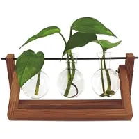 Winkee Vase - Hydro Vases Blossom - Brown - H8CM