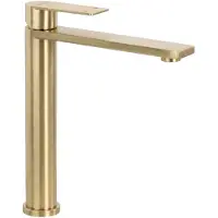 REA Kylpyhuoneen sekoitin Hunter Brush Gold High