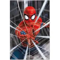 Noname Spider-man Gotcha -juliste 61x91,5 cm
