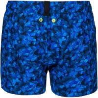 Arena Evo Beach X Allover Uimashortsit