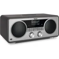 Technisat Digitradio 602 Internet Radio Hopeinen