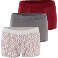 Dagi Bokserishortsit harmaa / punainen / offwhite