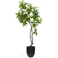 Kave Home Pachira-tekokasvi K 180 cm