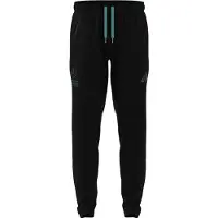 Adidas Mercedes-amg Petronas F1 Team Lot Vt Housut