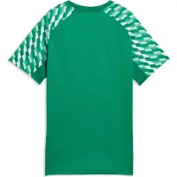 Puma Treenipaita teamLIGA26 - Urheilu Vihreä/Valkoinen Lapset, koko 128 cm