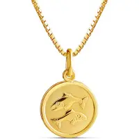 Top Gold kullattu hopeinen Kalat horoskooppi riipus ketjulla 45cm 52 5703 0000