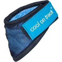 Back on track Cool on Track koiran viilennyshuivi