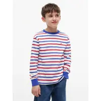 Tommy Hilfiger Paita 'Essential Stripe Relaxed Long Sleeve' sininen / punainen / valkoinen