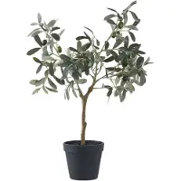 House Nordic Olive Artificial Plant, Green, H:61 Cm - Green - 36.5X22.5XH61CM