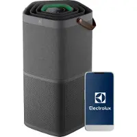 Electrolux Pure 600 ilmanpuhdistin EPO60571DG (harmaa)