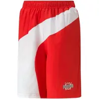 Puma Basketball Clyde Shortsit
