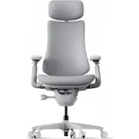 Libernovo Omni Ergonominen tuoli- 48cm, harmaa