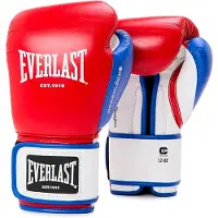 Everlast Powerlock Og Advanced Nyrkkeilyhanskat