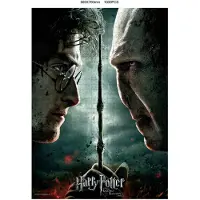 SD Toys Harry Potter Voldemort Vs Harry Palapeli 1000 Kappaletta