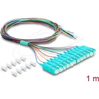 DeLOCK 91048, 1 m, 12x SC, Pigtail