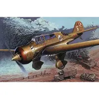 Mirage PZL-23B Kara?