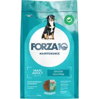Forza10 Medium Adult Maintenance Fish kuivaruoka keskikokoisille koirille, 12 kg