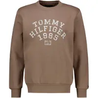 Tommy Hilfiger Collegepaita beige / valkoinen