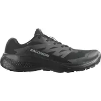 Salomon Alphaglide Gtx - Black - 44