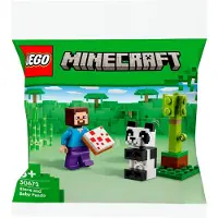 LEGO Minecraft Steve ja vauvapanda 30672