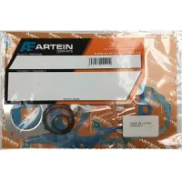 Artein J0000db000145 Täydellinen Tiivistesarja