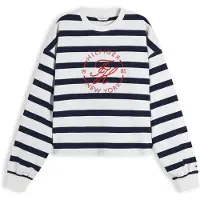 Tommy Hilfiger Paita 'ROUNDAL' tummansininen / punainen / valkoinen