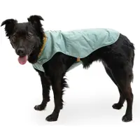 Ruffwear Stumptown Koiran Takki
