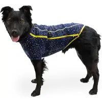 Ruffwear Climate Changer Koiran Takki