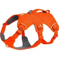 Ruffwear Web Master valjaat koiralle, Blaze Orange