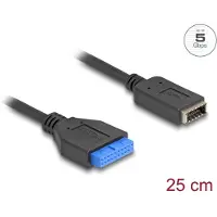 DeLOCK 65100, 0,25 m, 3.2 Gen 1 (3.1 Gen 1), USB 3.1 Gen 1 (19-pin), USB Type-E, Naaras, Naaras