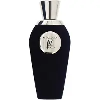 Van Canto Mea Culpa parfyymiuute Unisex 100 ml