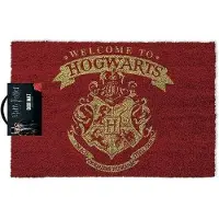 Harry Potter - Welcome to Hogwarts - Ovimatto