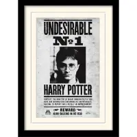 Harry Potter - Harry Wanted - Kehystetty taidejuliste