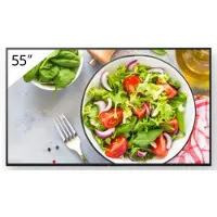 Sony Bravia FW-55BZ35L ammattinäyttö 140cm (55\")