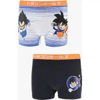 Dragon Ball Boxer Alushousut 2-pack, Moniväriset, 158-164