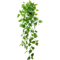 Hobby Hall Tekokasvi, riippuva koristeeksi, pothos, 99 cm, 1 kpl