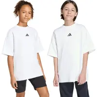 Adidas Future Icons Oversized Lyhythihainen T-paita