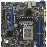 Asus P13R-M/10G-2T C262 LGA 1700 mATX -emolevy