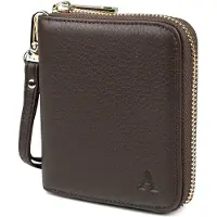Aarni ruskea Mini Clutch lompakko kulta