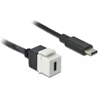 DeLOCK Keystone USB-C -jatkokaapeli, 15 W, 0,25 m, valkoinen