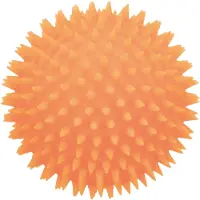 Trixie Hedgehog Ball Dog Toy ø 10 cm assorted colours