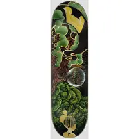 Creature Provost Orbital Pro 8.60 X 31.95 Skeittilauta