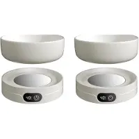 Semoic 2X Heated Pet Bowl with 4 Temperature Settings, Thermal Dog Water Bowl,Pet Drinking Plate