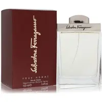 Salvatore Ferragamo Pour Homme Eau de Toilette -tuoksu miehille 100 ml