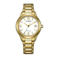 Citizen Eco-Drive Trendy Colors FE6122-64A
