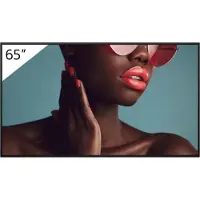Sony FW-65BZ40L, Digitaalinen litteä infotaulu, 165,1 cm (65"), LCD, 3840 x 2160 pikseliä, Wi-Fi, 24/7