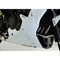 Bodystyle -Alakate CBF 1000 F 10–MAALAAMATON