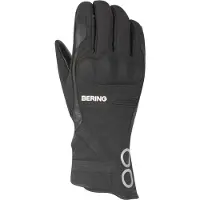 Bering Artic Talvihanskat