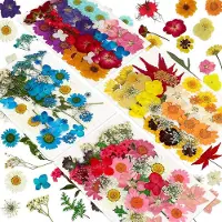 Tlily 144PCS Natural Dried Pressed Flowers for Resin,Dry Flower Bulk Natural Herbs Kit for Candle,Epoxy Resin,DIY Art Crafts
