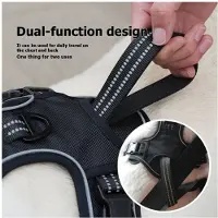 Melitt SMALL COMBINATION Dog Harness No Pull Reflective Pet Dog Chest Harness for Dogs Outdoor Walking L